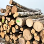 Grumes de pin sylvestre PEFC par 1 camion – 60M3